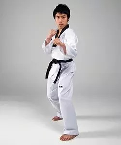 Martial Arts Photo